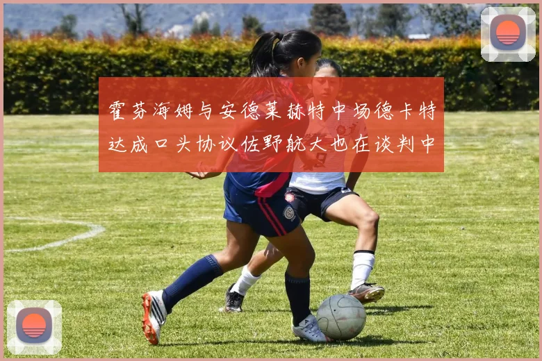 霍芬海姆与安德莱赫特中场德卡特达成口头协议佐野航大也在谈判中