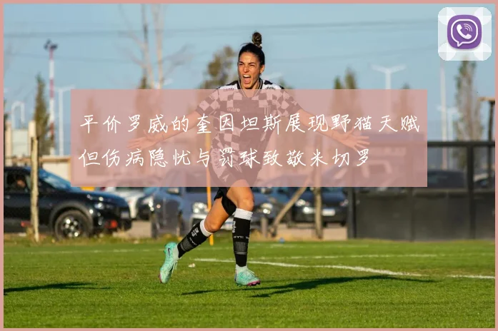 平价罗威的奎因坦斯展现野猫天赋但伤病隐忧与罚球致敬米切罗