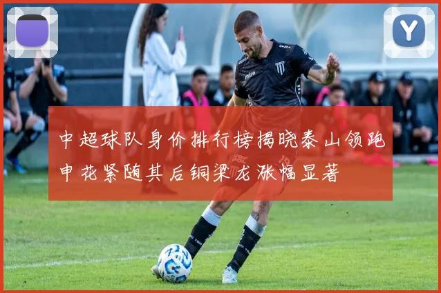 中超球队身价排行榜揭晓泰山领跑申花紧随其后铜梁龙涨幅显著